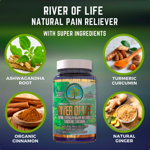 River Of Life-Highly Absorbed Turmeric Curcumin (60 caps)