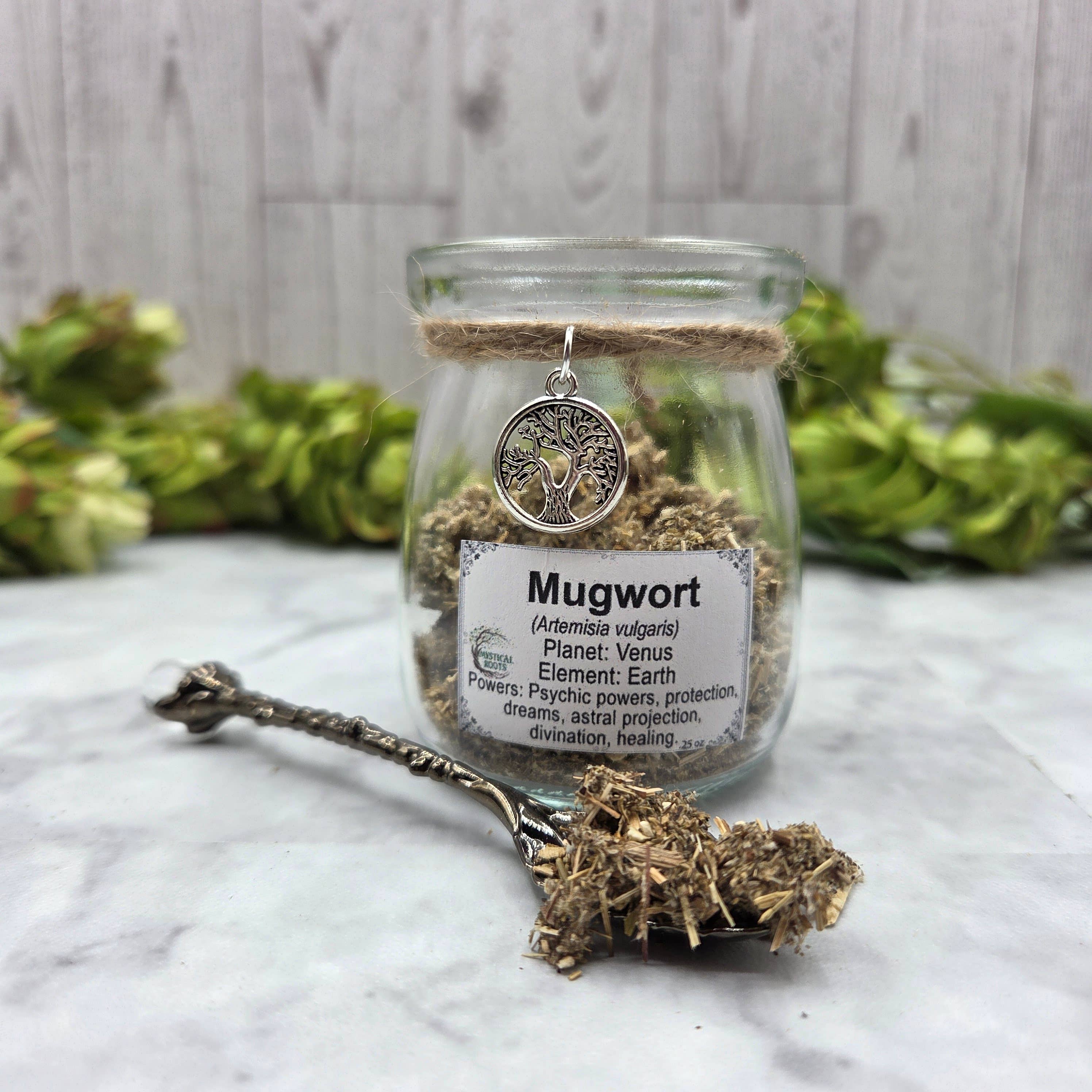Dried Mugwort in Apothecary Herb Jar