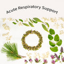 Herbal Tea Blend, Breathe, Supports Sinus and Allergy Relief