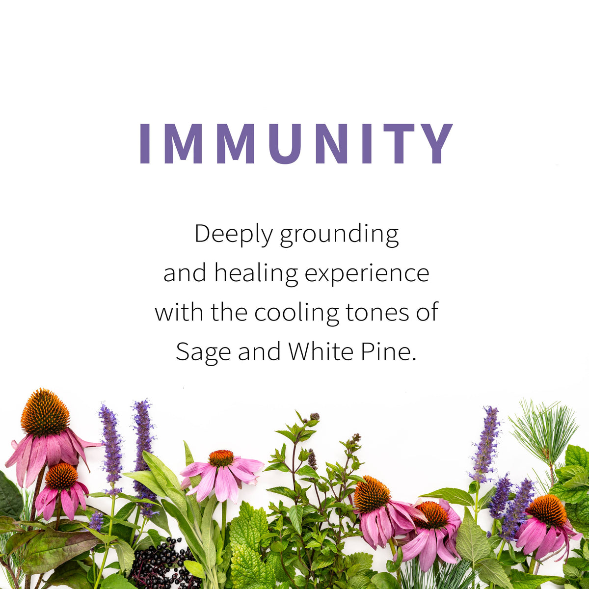 Immunity Herbal Tea