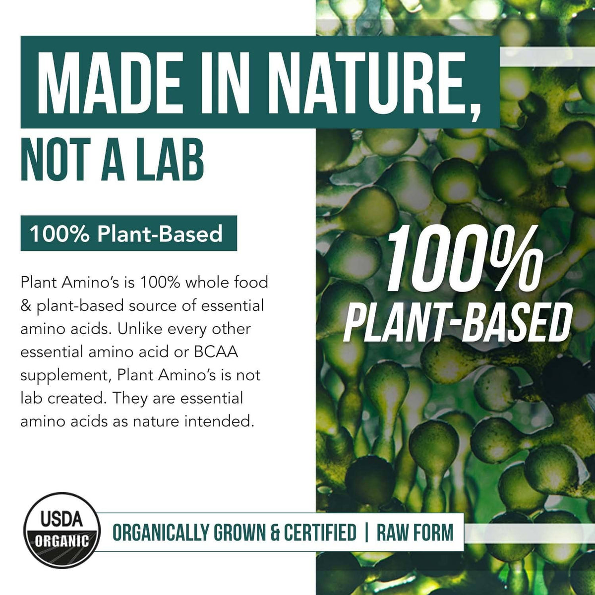 Plant Aminos Essential Amino Acids (360 tablets)