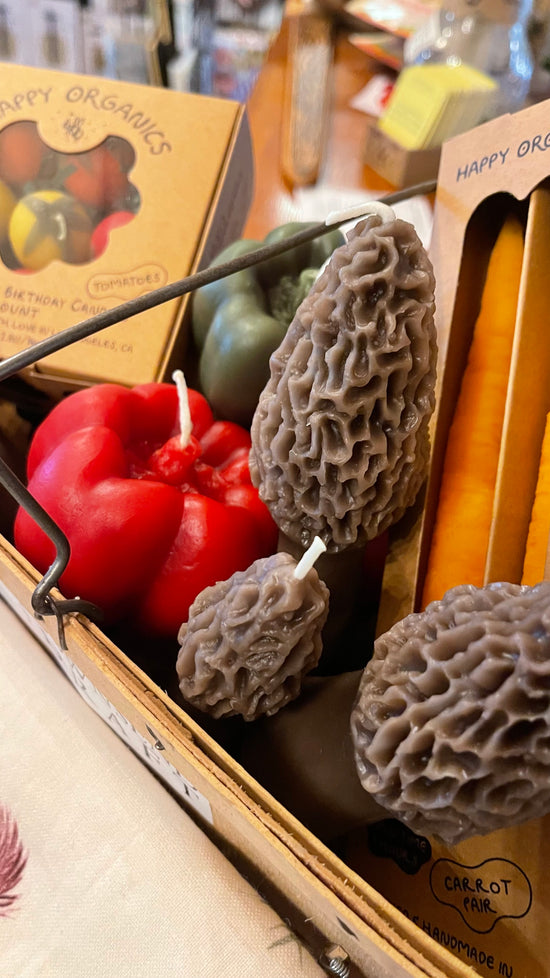 Morel Mushroom Beeswax Candle (2-pack)