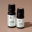 Australian Sandalwood Essential Oil (5 mL)