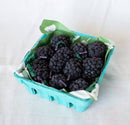 Blackberry Beeswax Candles - Set of 10