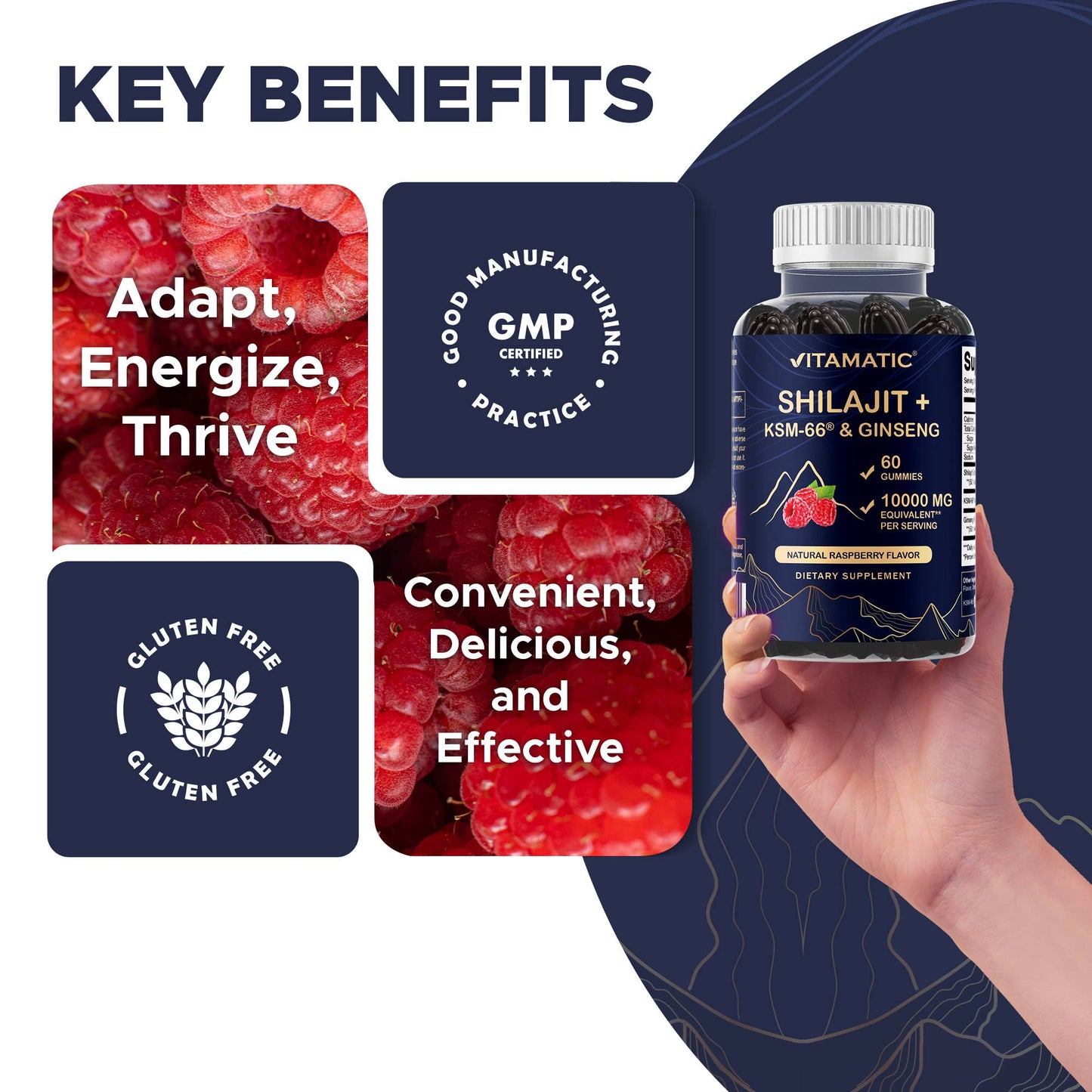 Shilajit with KSM-66® Ashwagandha & Ginseng (60 Gummies)