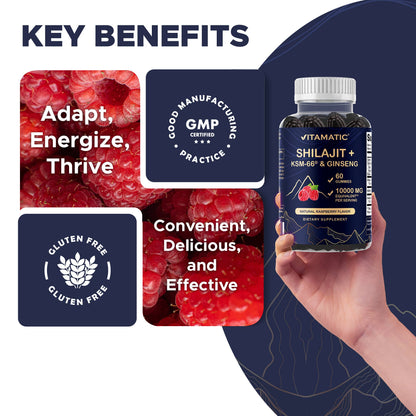 Shilajit with KSM-66® Ashwagandha & Ginseng (60 Gummies)