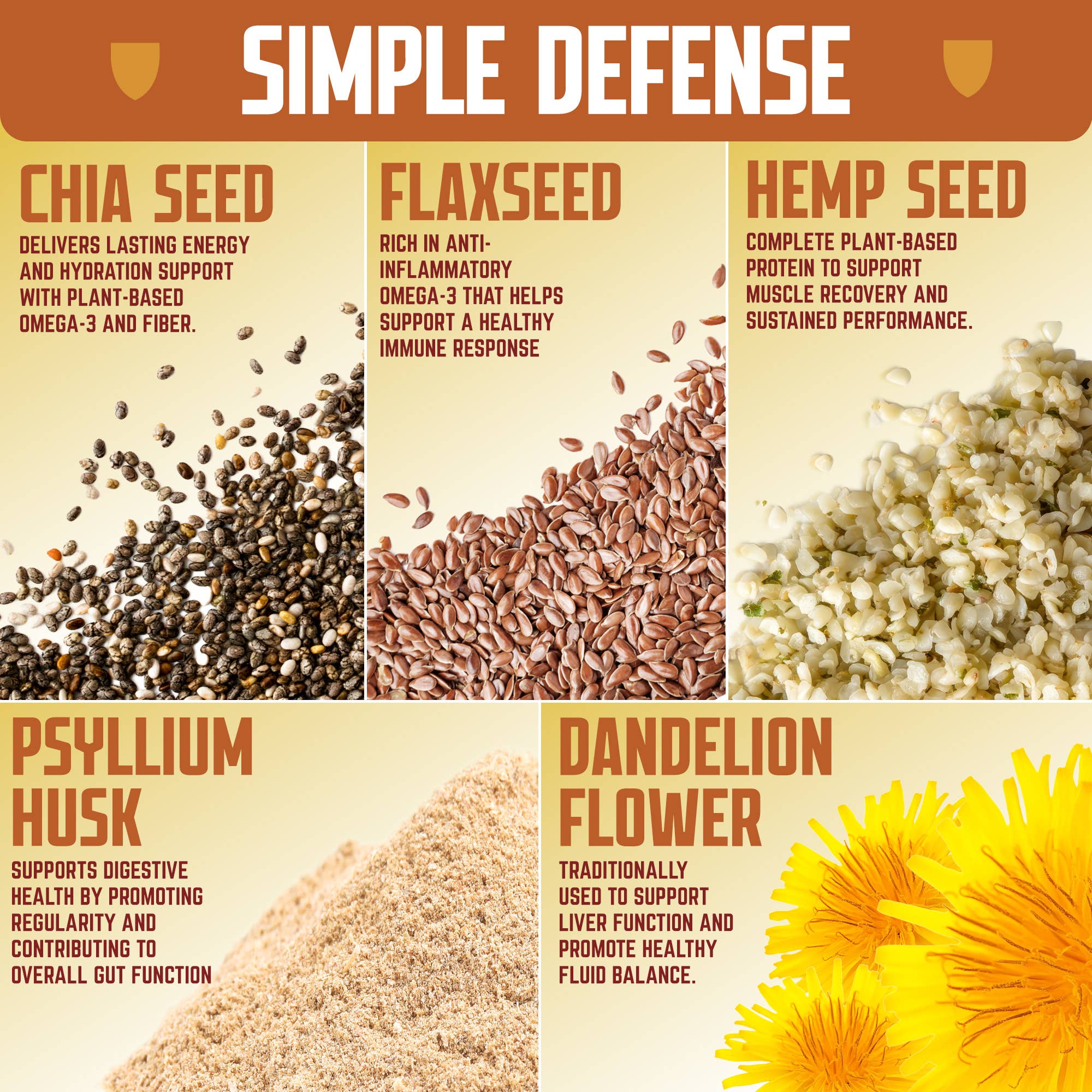 Peanut Butter Chocolate Defender Bar (Chia, Hemp, Flax, Dandelion Flower, Psyllium Husk)