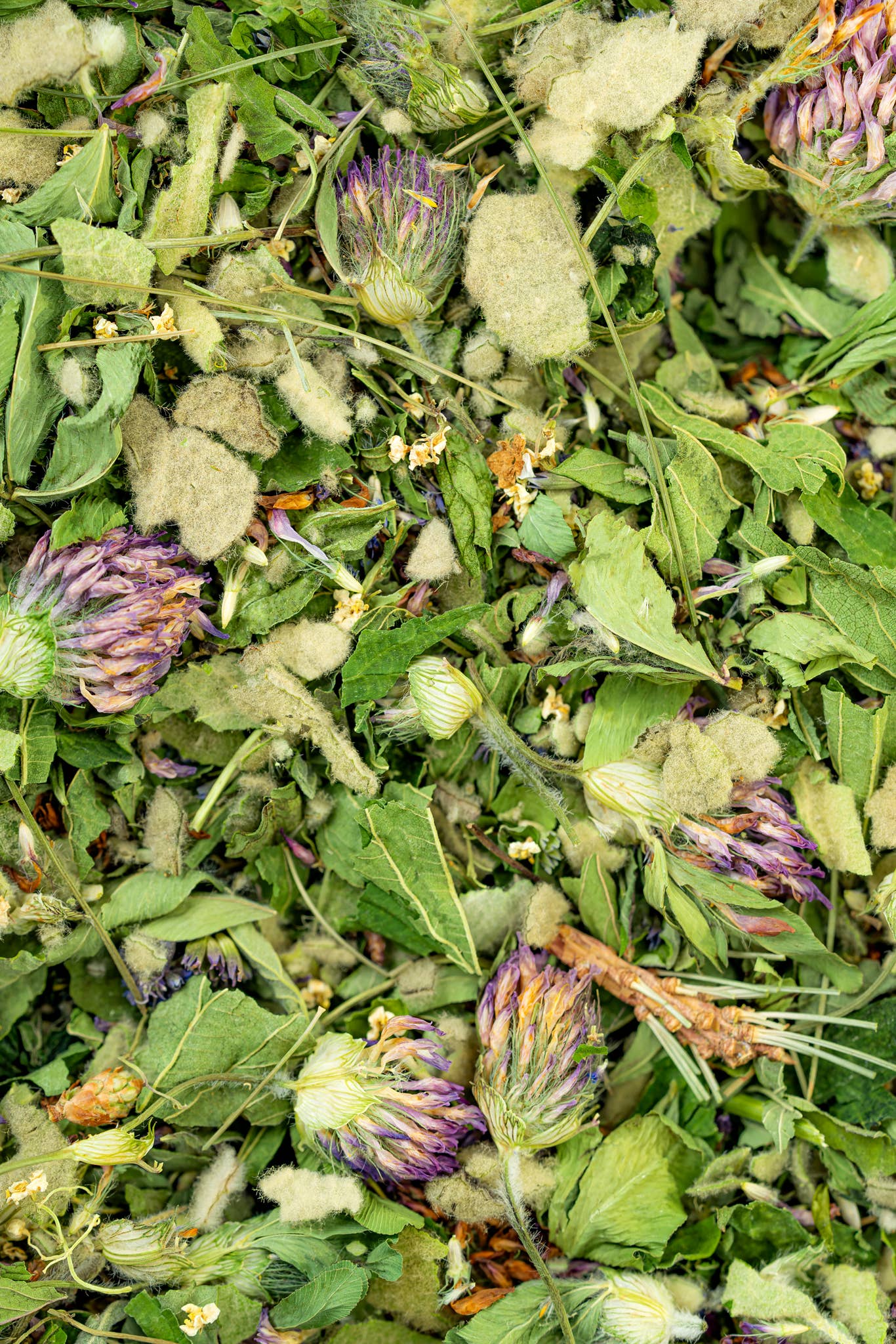 Herbal Tea Blend, Breathe, Supports Sinus and Allergy Relief