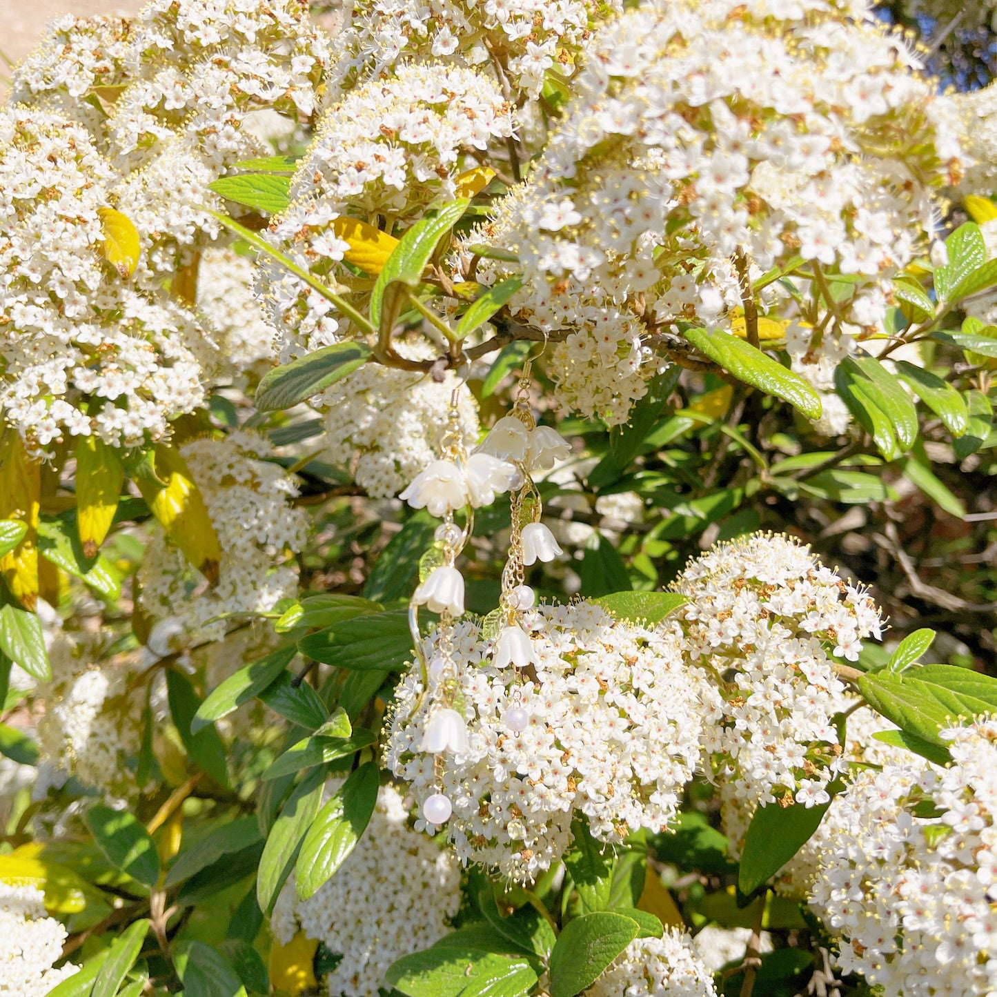 Lily Flower Earrings - Pearl, 925 Silver Post, 18k Gold Finish (Delicately Handmade)