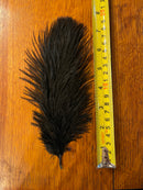 Black Ostrich Feather