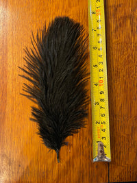 Black Ostrich Feather