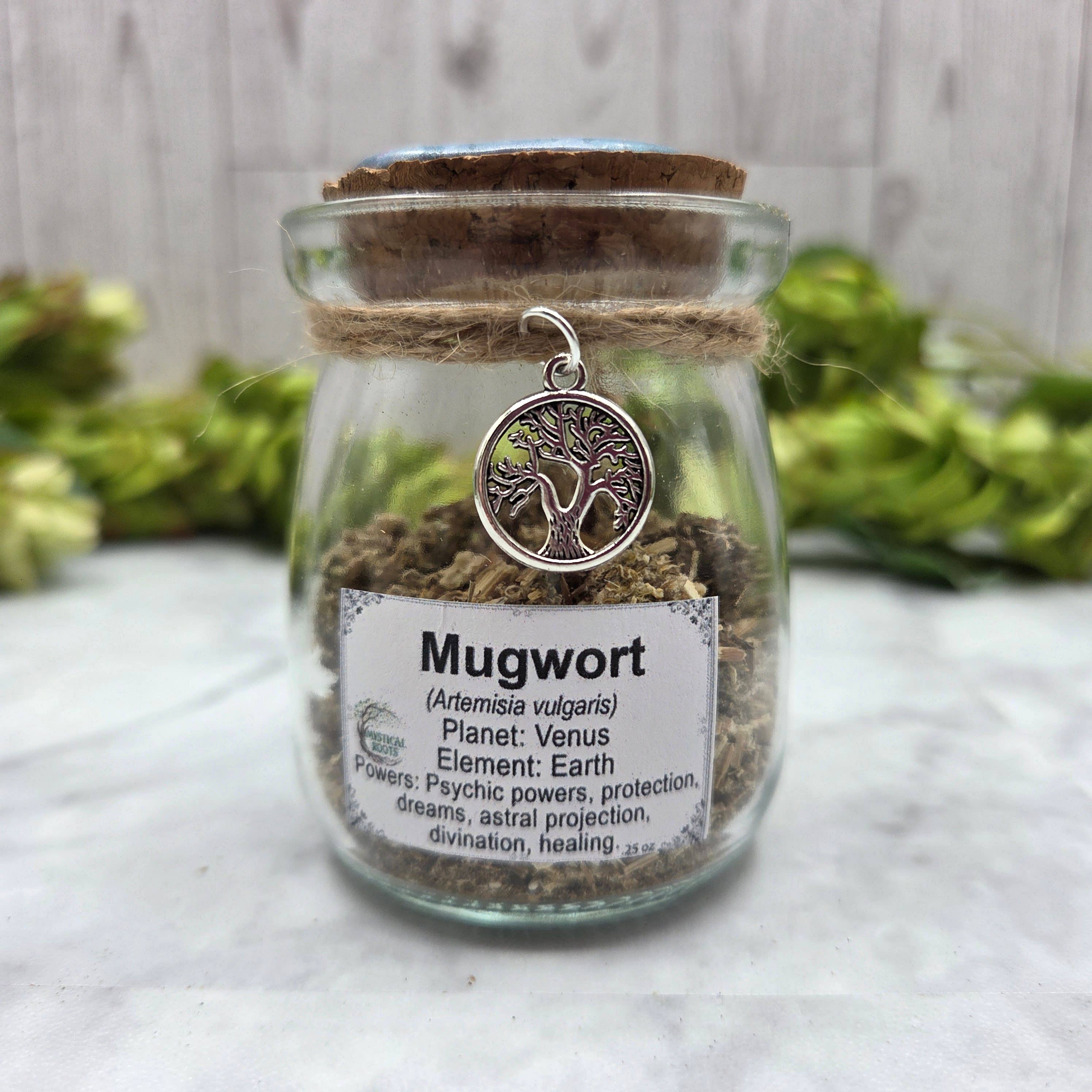 Dried Mugwort in Apothecary Herb Jar