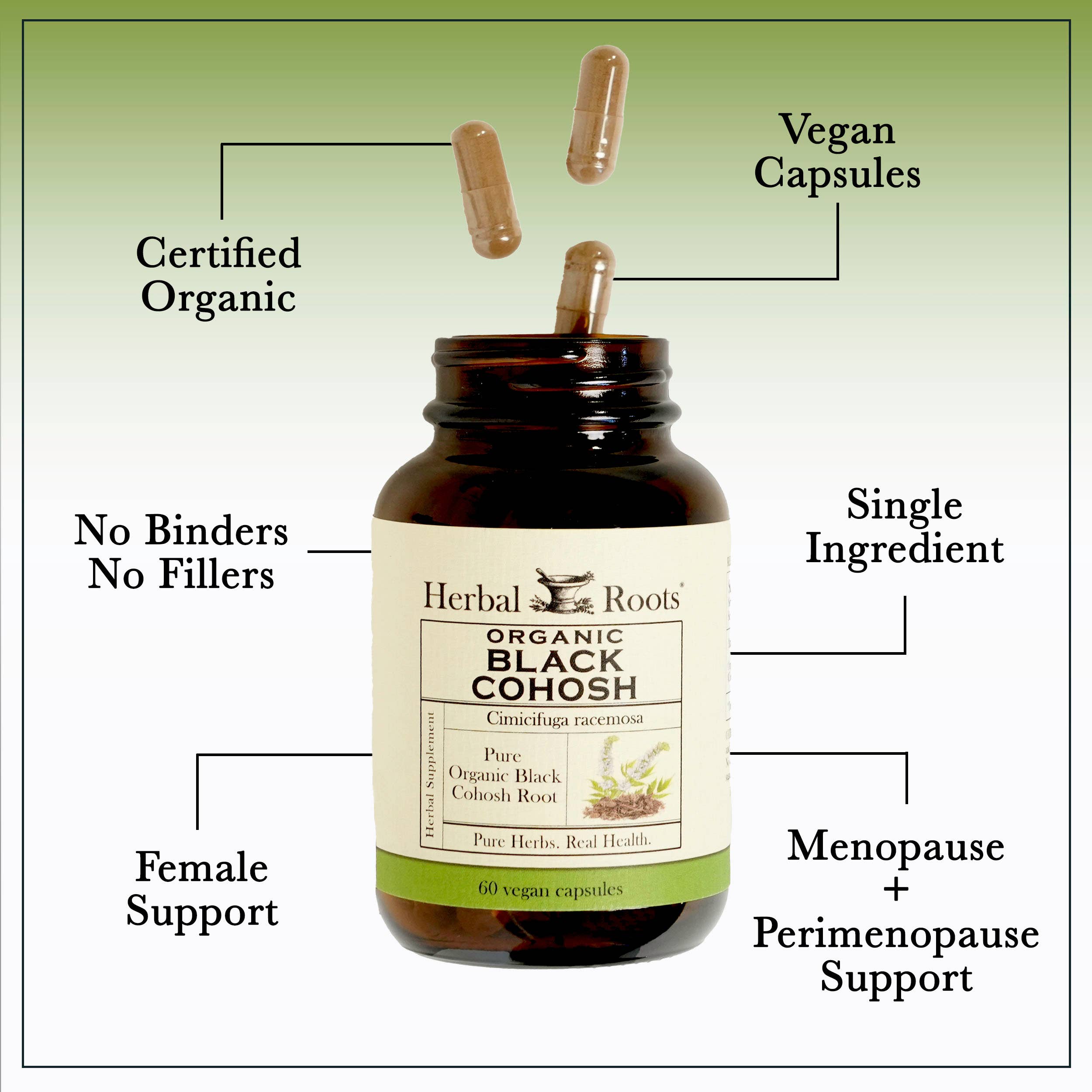 Black Cohosh Root Capsules (Organic)