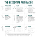 Plant Aminos Essential Amino Acids (360 tablets)