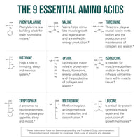 Plant Aminos Essential Amino Acids (360 tablets)