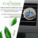 Essential Oil Car Diffuser - Bodhi