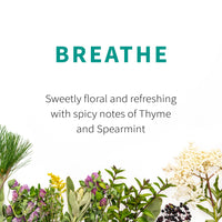 Herbal Tea Blend, Breathe, Supports Sinus and Allergy Relief