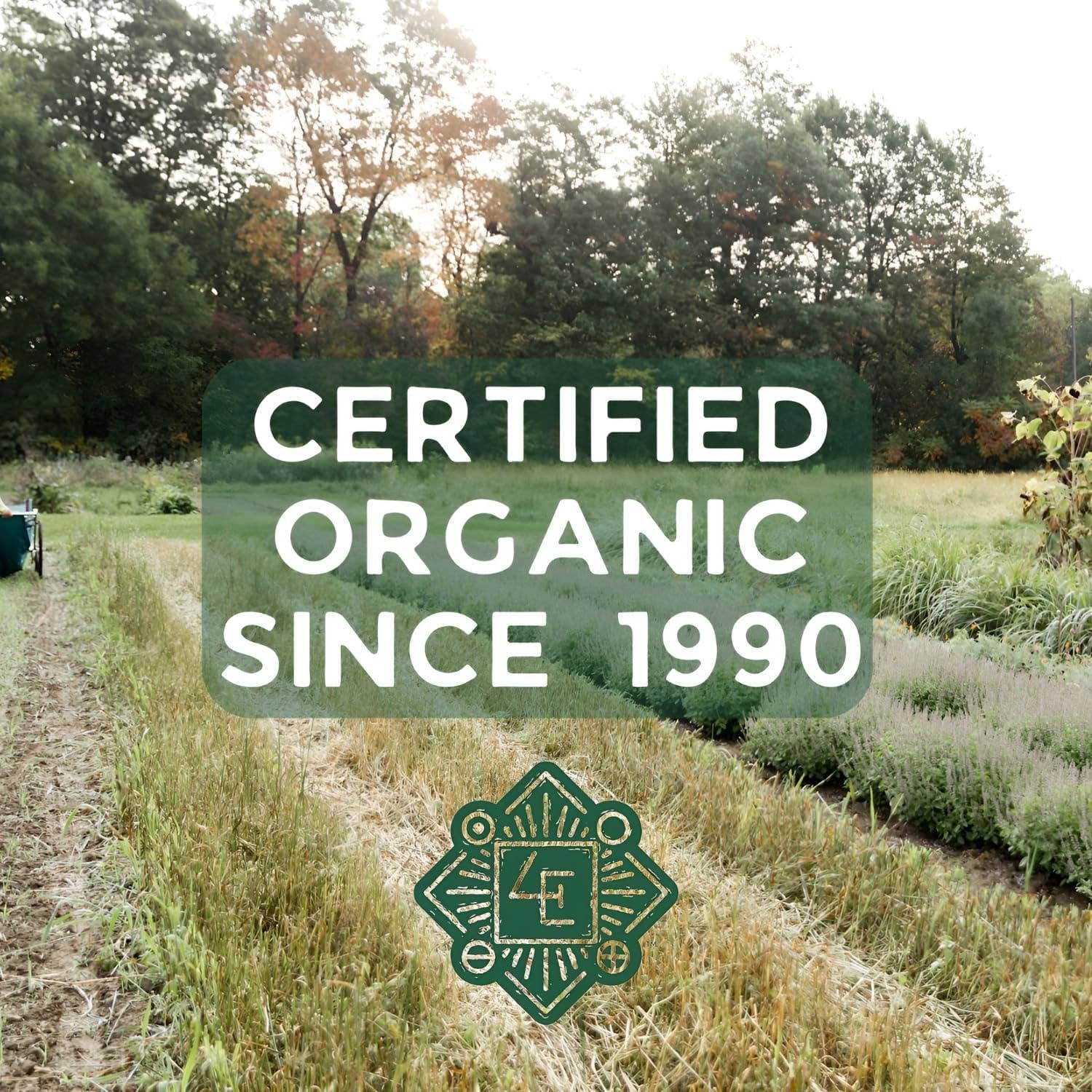 Natural Ear Oil - Mullein Flower Ear Oil (1 oz)