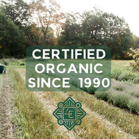 Natural Ear Oil - Mullein Flower Ear Oil (1 oz)