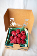 Raspberry Candles (Set of 10)