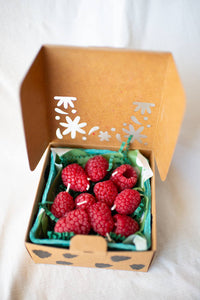 Raspberry Candles (Set of 10)