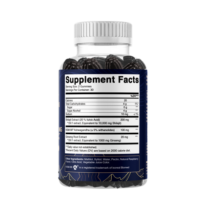 Shilajit with KSM-66® Ashwagandha & Ginseng (60 Gummies)
