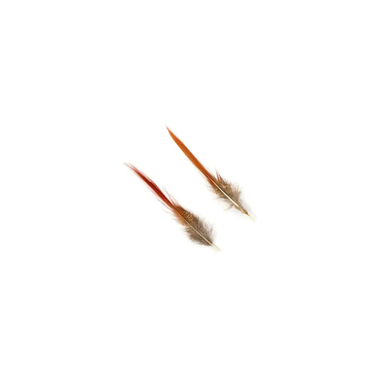 Golden Pheasant Red Top Tail (4 inches)