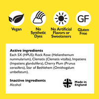 Bach Rescue Remedy Natural Stress Relief Dropper (10 ml)