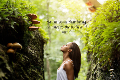 Sold at Townsend Draft Goods. Woman standing in a forest with text overlay about mushrooms bringing balance to the body and mind.