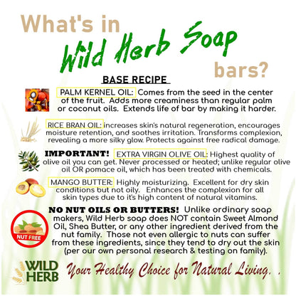 Natural Soap Bar with Wood Dish