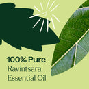 Ravintsara Essential Oil 10 mL