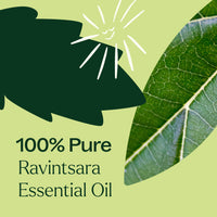 Ravintsara Essential Oil 10 mL