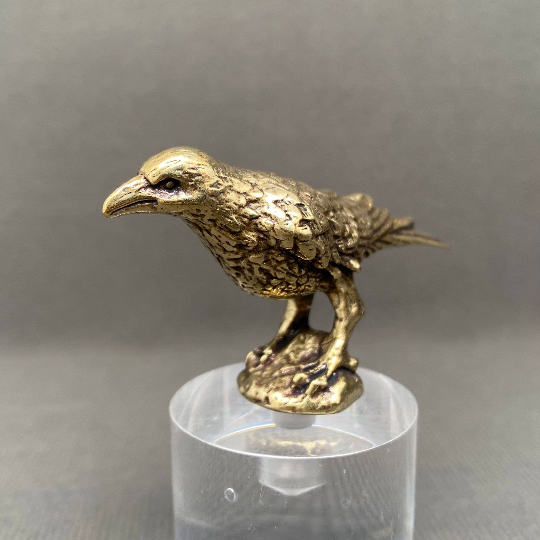Brass Raven