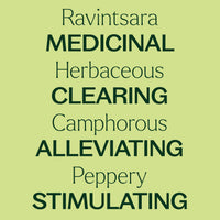Ravintsara Essential Oil 10 mL