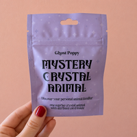 Mystery Crystal Animal - Hand-carved Stone