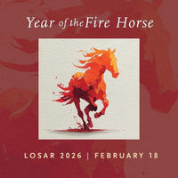 Year of the Fire Horse! Rhinestone Horse Brooch