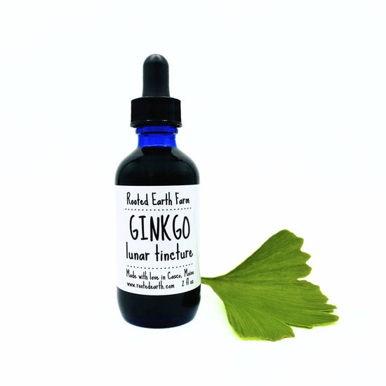 Ginkgo Tincture (2 oz)