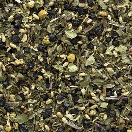 Elderberry Echinacea Wellness Tea, Organic (4 oz)