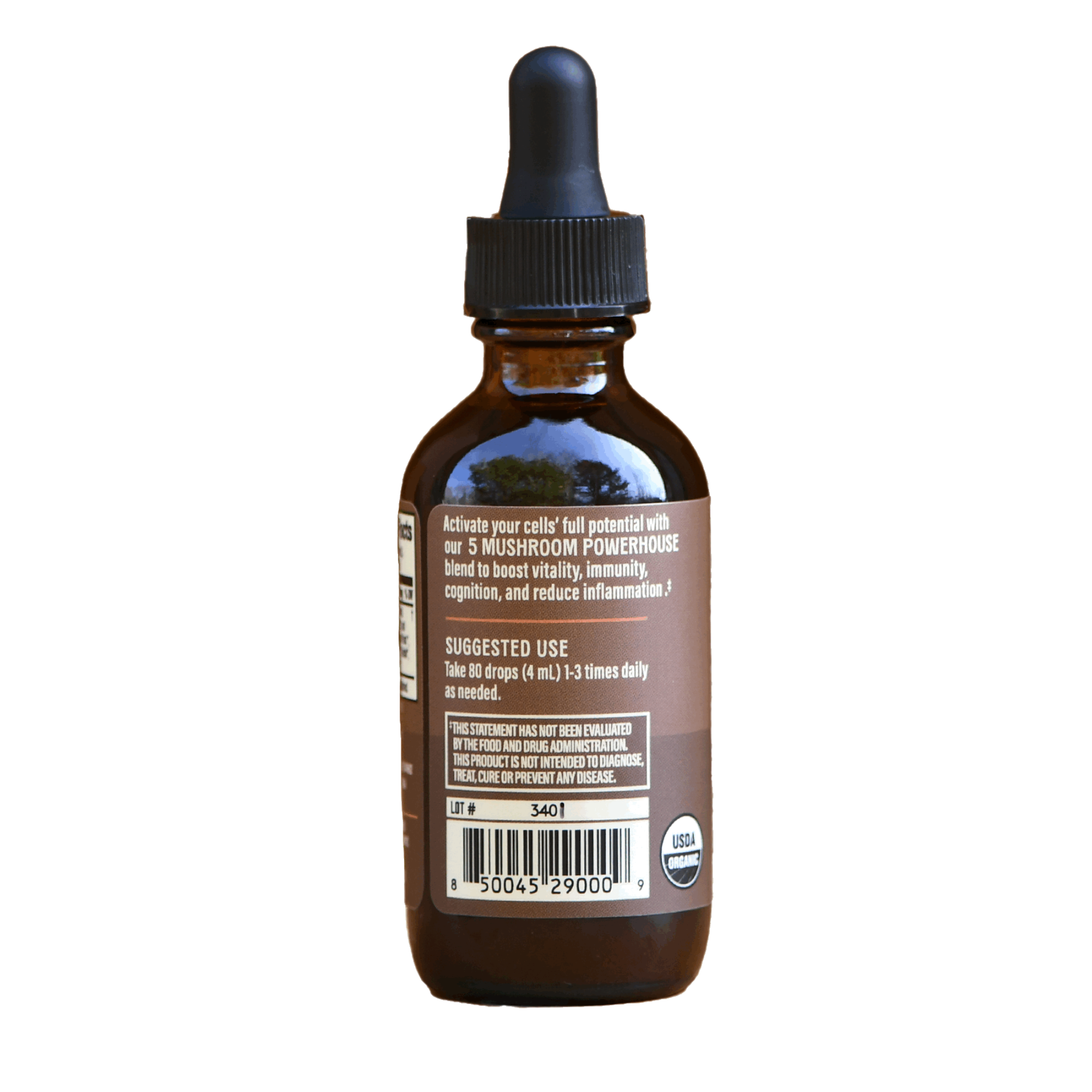 Mushroom & Roots: Daily Immune + Mind + Vitality Elixir: 2 oz.