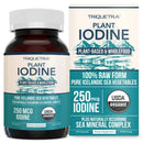Plant Iodine Whole-Food Iodine Supplement (60 capsules)