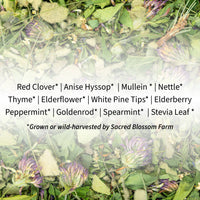 Herbal Tea Blend, Breathe, Supports Sinus and Allergy Relief