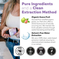 Organic Zinc | Whole Food Zinc Supplement - 25 mg of Zinc