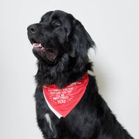 Pet Bandana - "Every Burger You Flip, Every Chip You Dip, I'll Be Watching You"