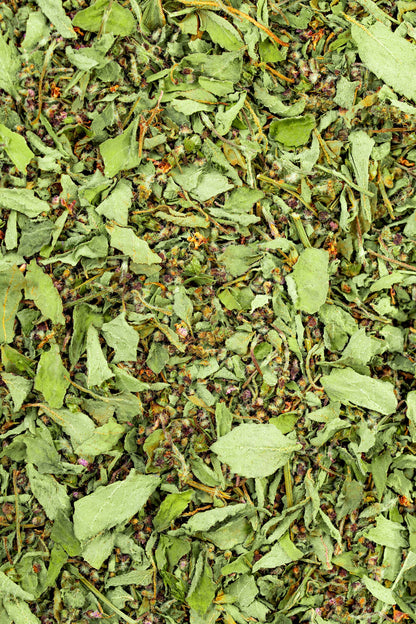 Tulsi (5.1 oz)