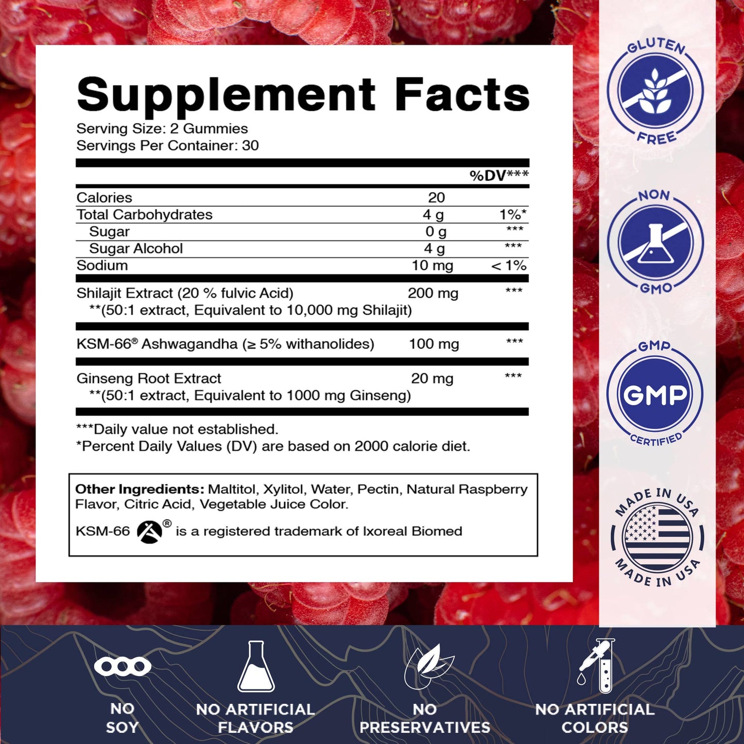 Shilajit with KSM-66® Ashwagandha & Ginseng (60 Gummies)