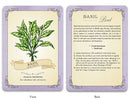 Green Witch's Deck of Magical Herbalism by Arin Murphy-Hiscock