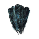 Custom Dyed Quill Feather, Ocean Blue & Black