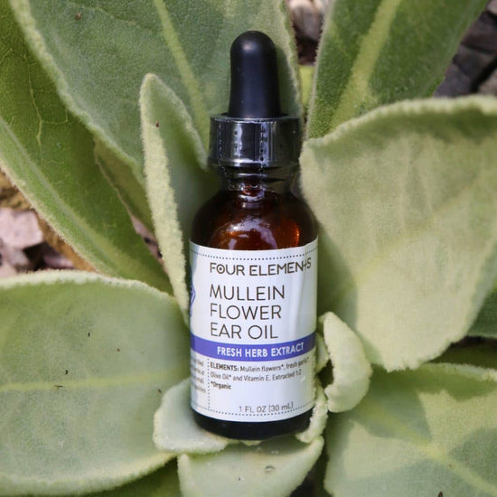 Natural Ear Oil - Mullein Flower Ear Oil (1 oz)