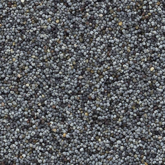 Organic Whole Poppy Seed (4 oz)
