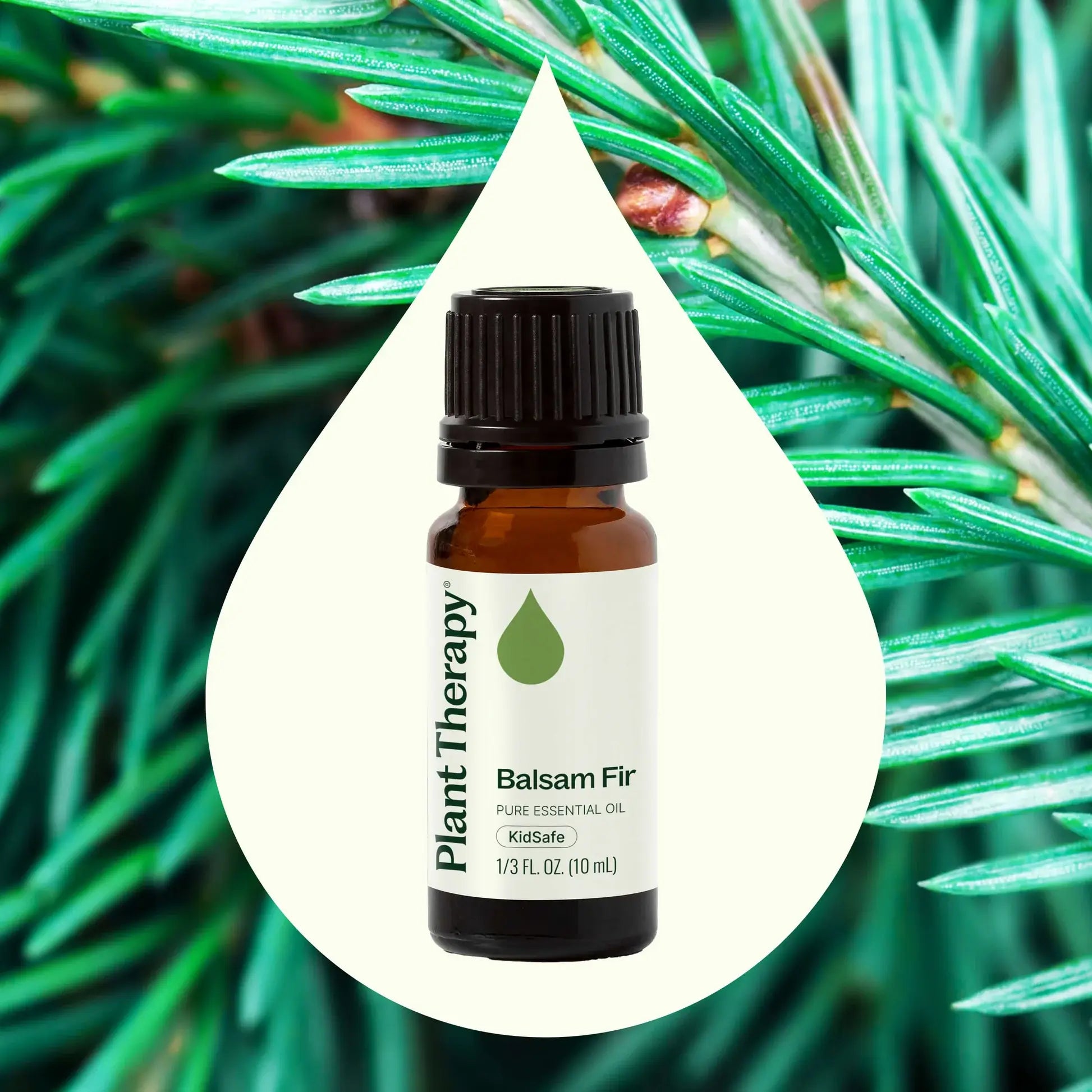 Balsam Fir Essential Oil (10mL)